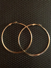 Load image into Gallery viewer, Hoops
